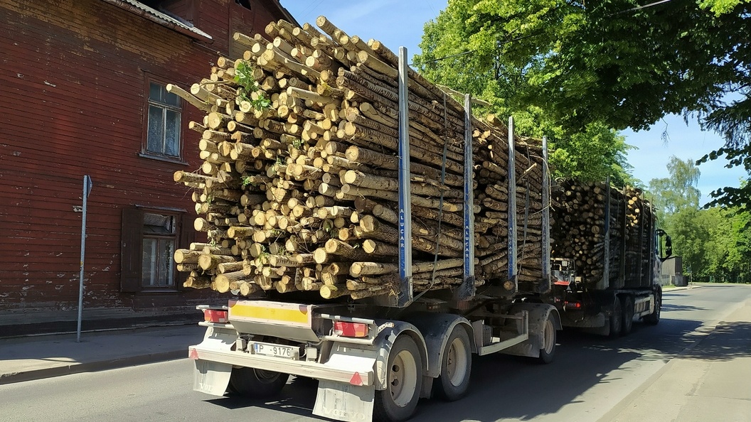    © Victor Lisitsyn/Globallookpress