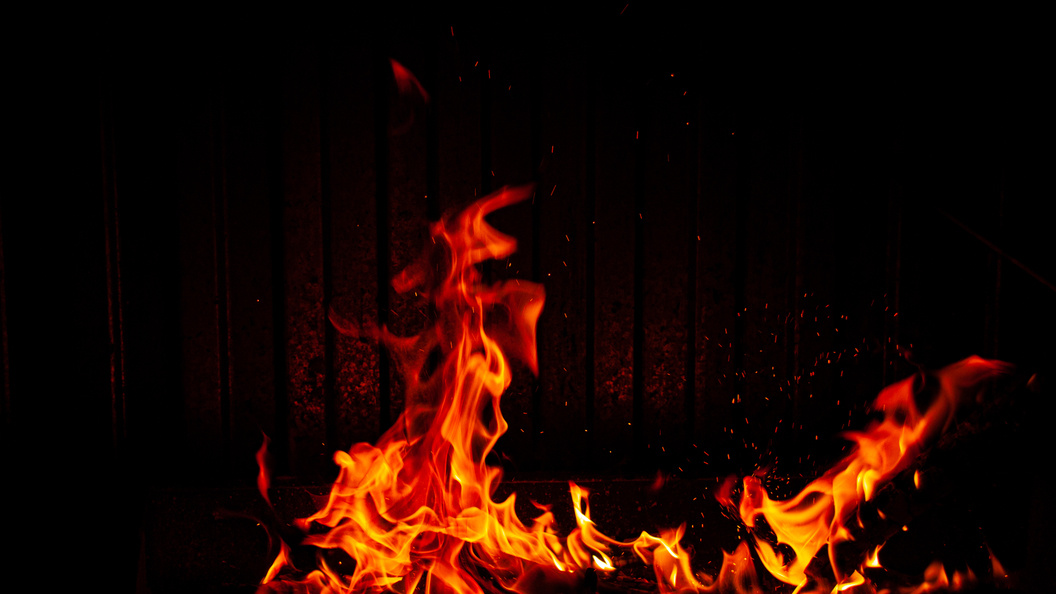    Фото: Svetlana Vozmilova/Global Look Press