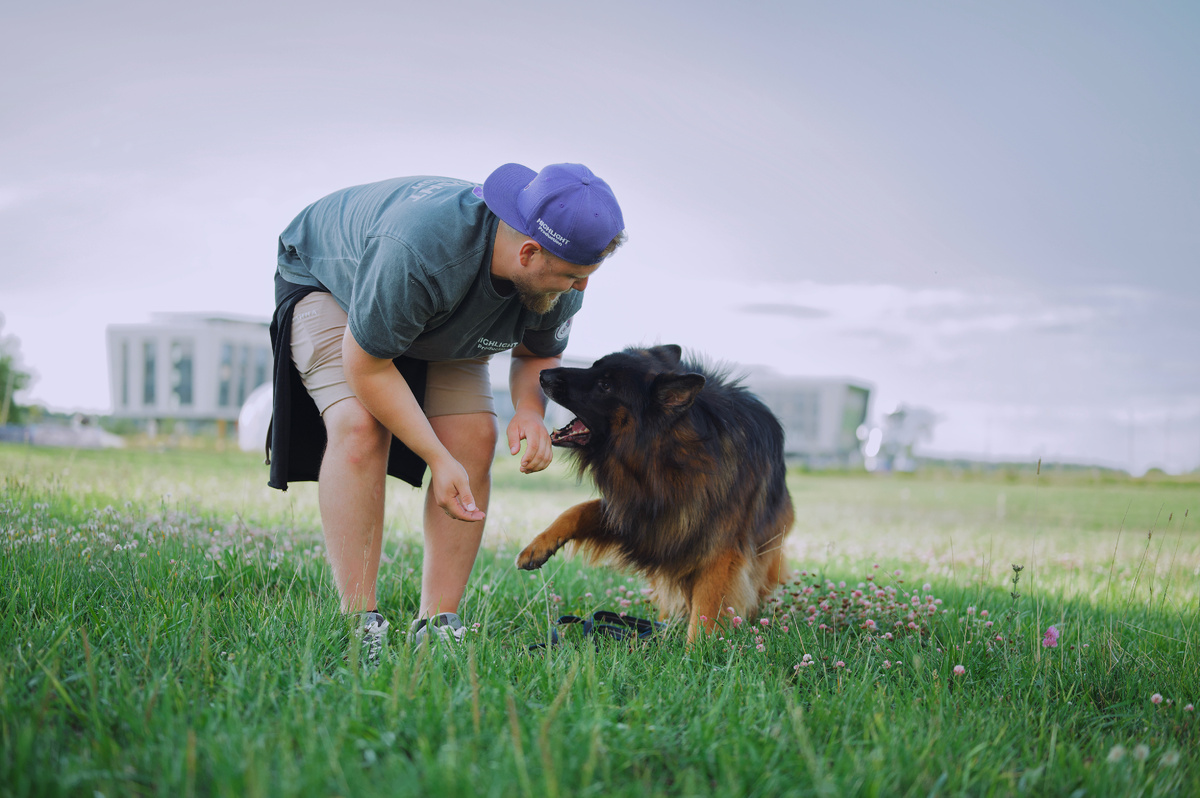 Локи с владельцем Денисом на прогулке летом