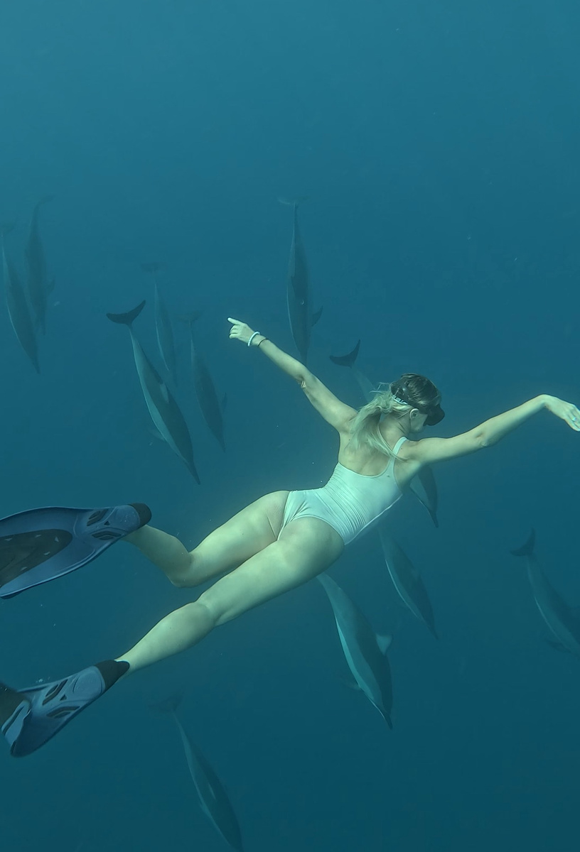 Здесь живет стая из 50 дельфинов