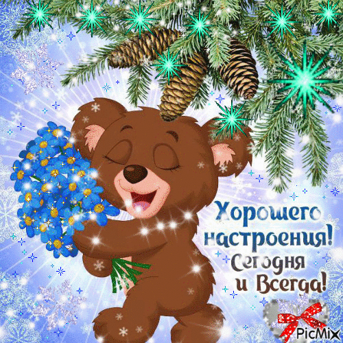 Из интернета для хорошего настроения 🫶🏻