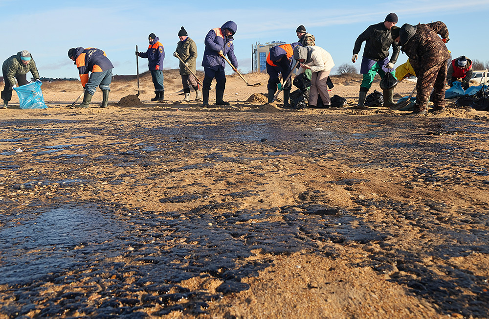   
 Фото: Сергей Мальгавко/ТАСС