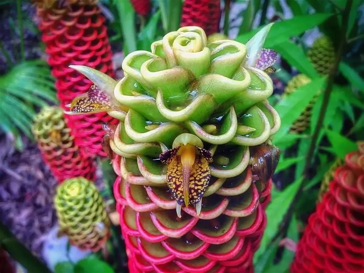 А этот дожужжался, вон как выперло