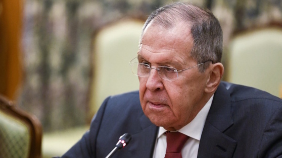    Лавров и глава МИД Египта призвали к скорейшему прекращению огня в секторе Газа Виктория Шварц