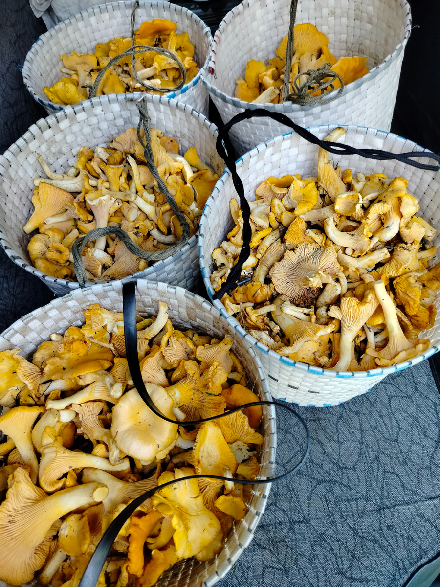 Вот такие ведёрки получаются.  Мы их активно используем. Ручки сделаны из разных материалов - прочные шнуры, пластиковая лента и даже декоративный плетёный ремешок от моей старой юбки😄