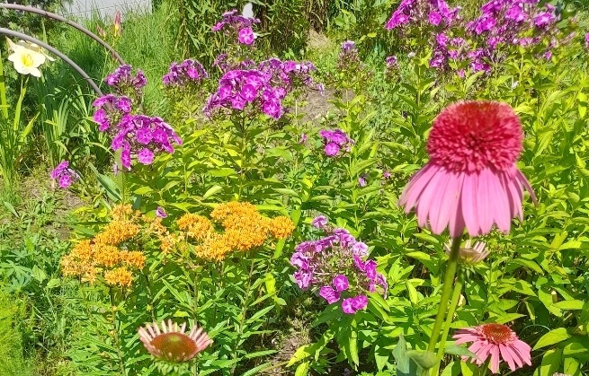 Вот он желтенький.