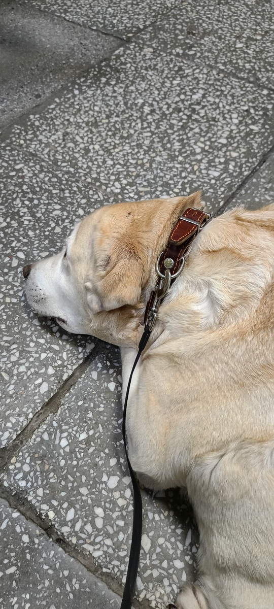 Фото из личного архива