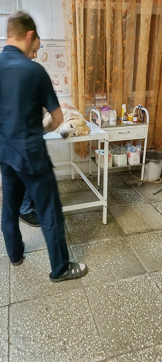 Фото из личного архива.