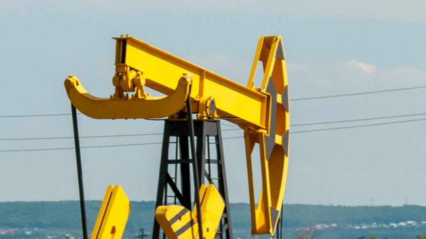    Фото: www.globallookpress.com