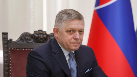    Премьер Словакии приехал в Москву для переговоров с Путиным Виктория Шварц