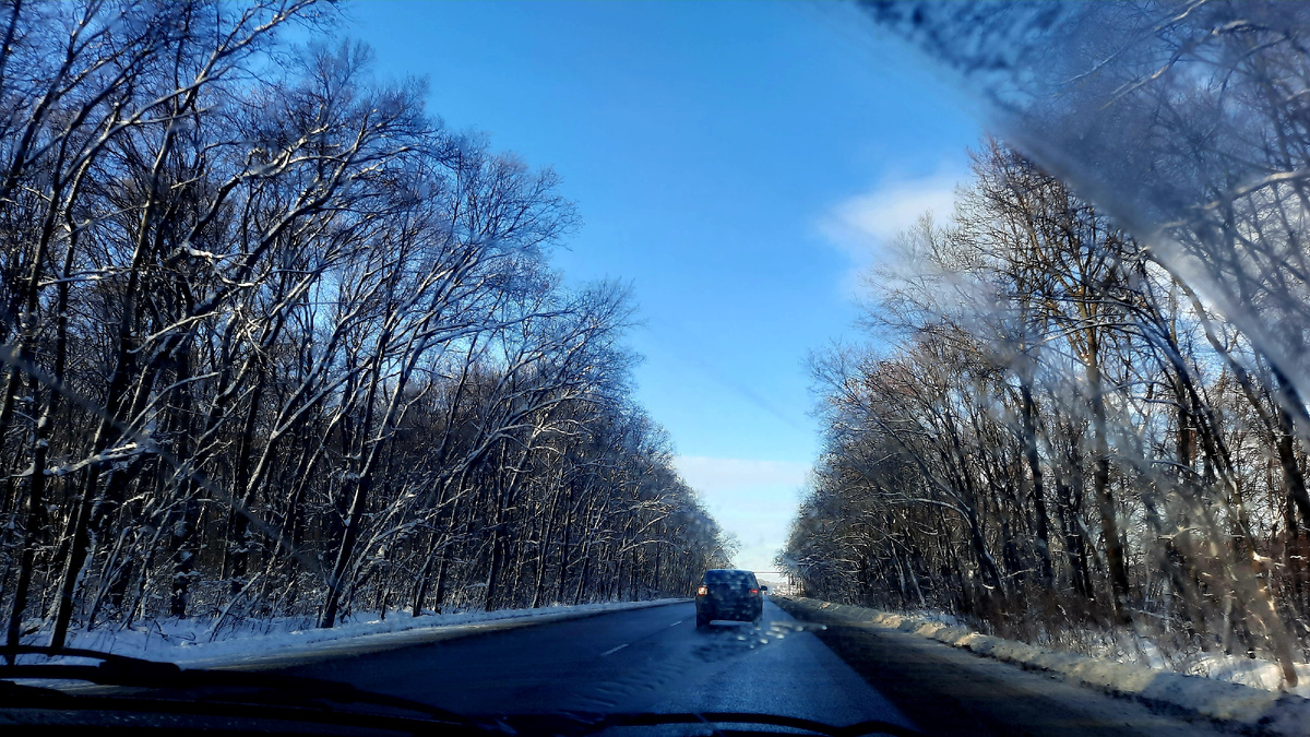 Дорога в город 