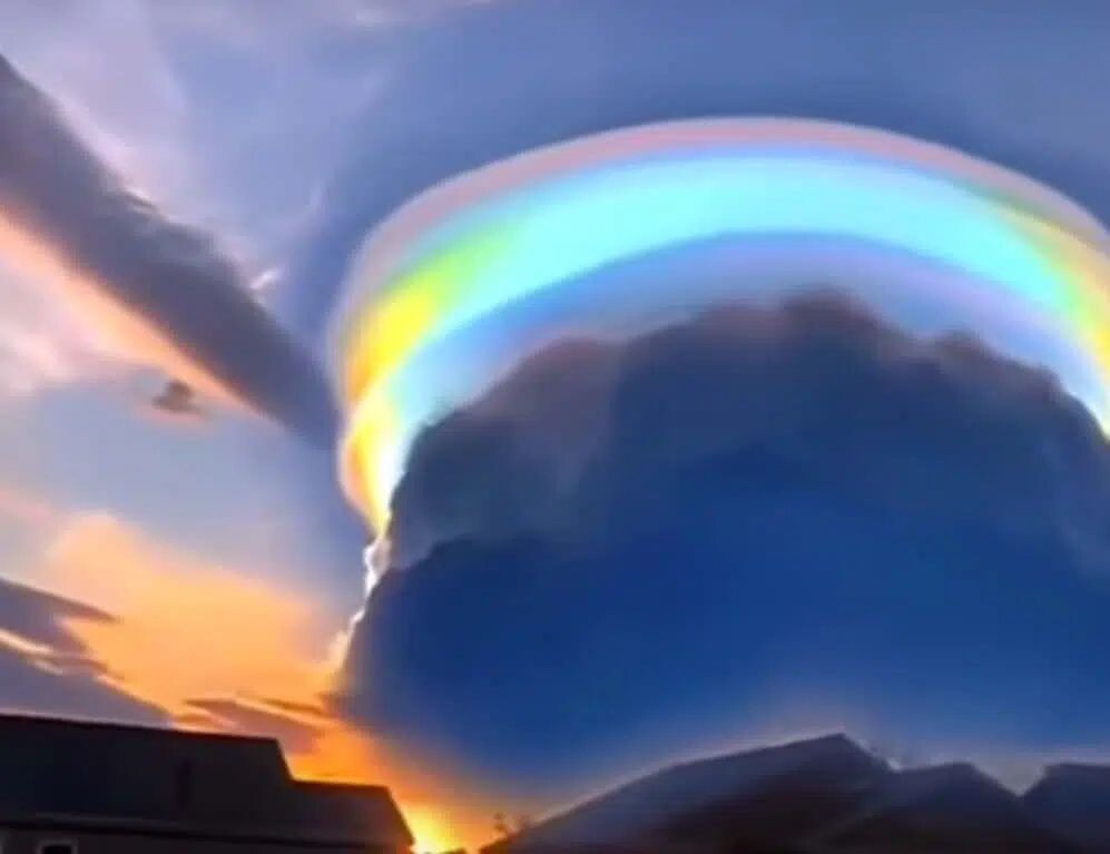    Фото: Скриншот ДронТом YouTube