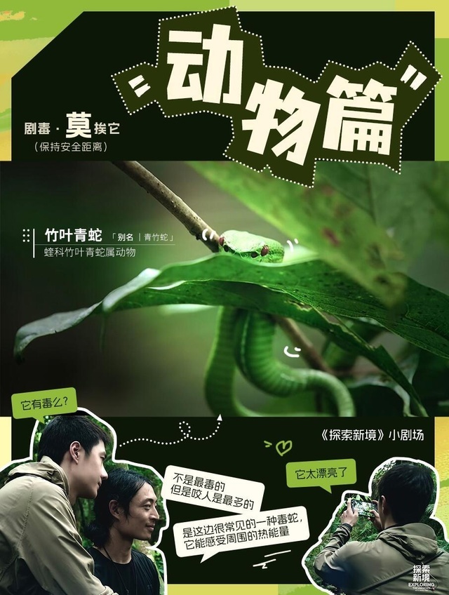 Бамбуковая куфия (постер из открытых источников)