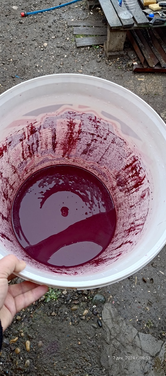 Это осадок с Молдовы. В Изабелле всё было сильнее раз в пять. С ней почему-то забыл сделать фото на память.