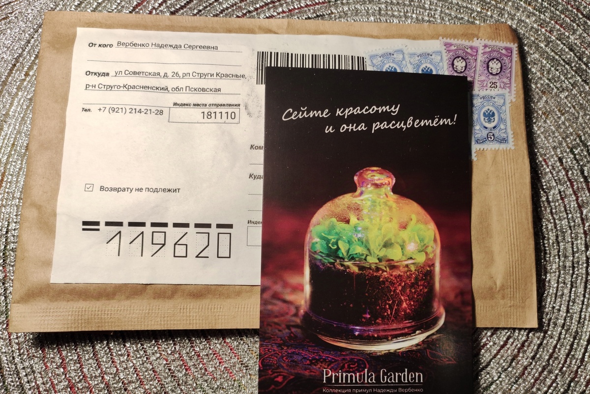 Конверт с семенами примул от Надежды Вербенко