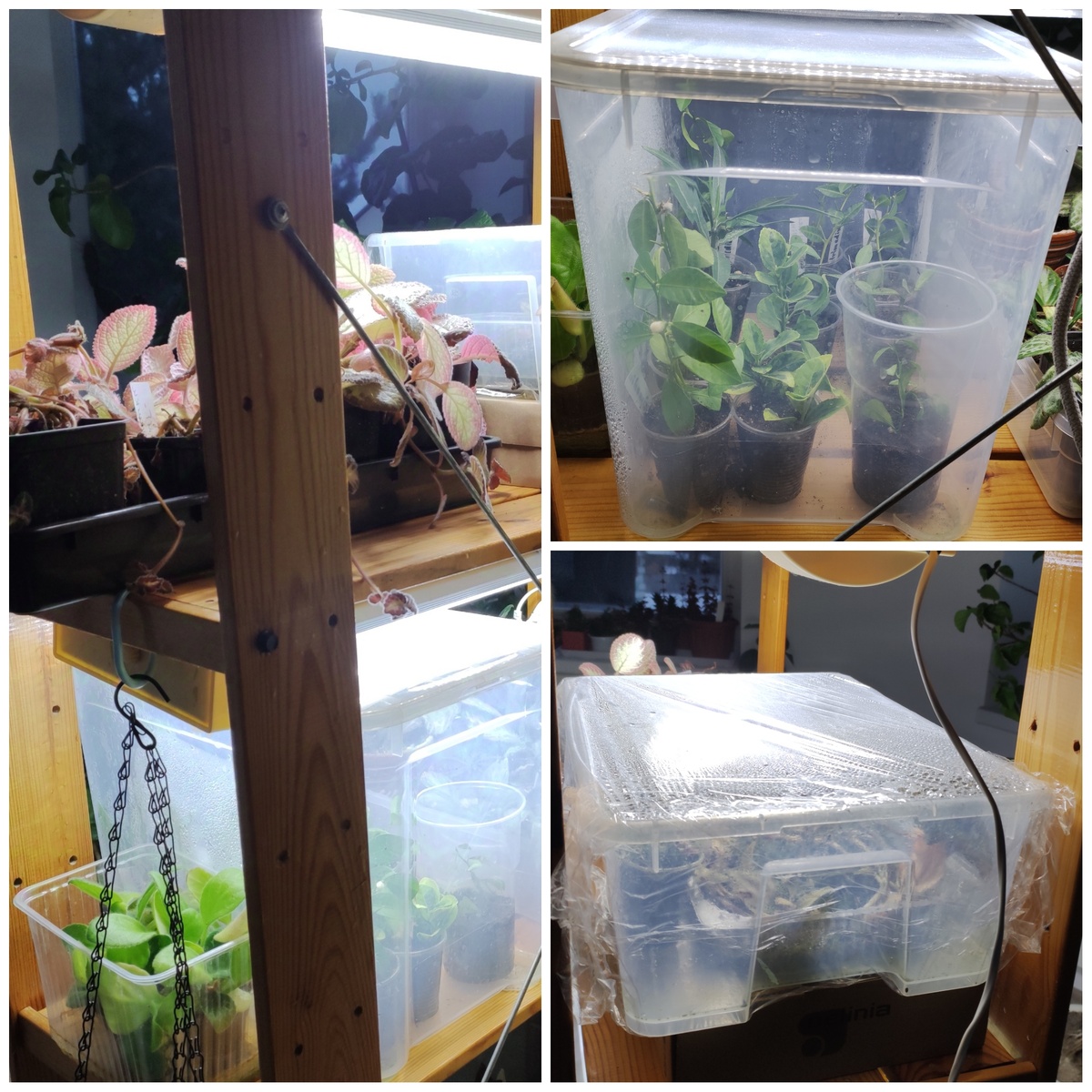 Свет в ночи