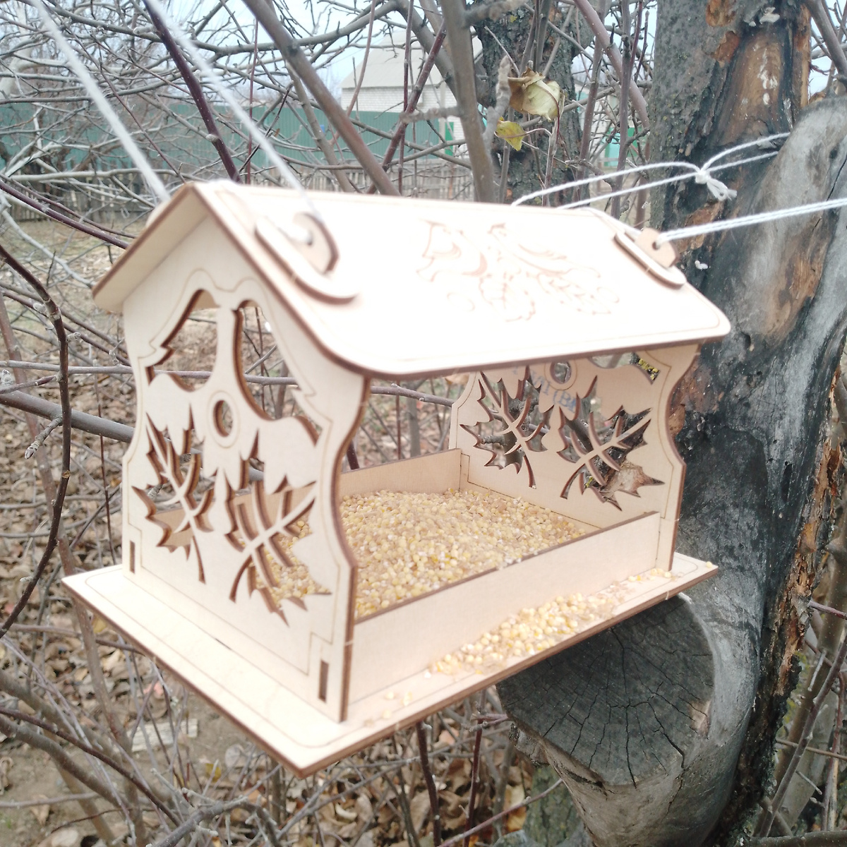 Ждем воробышек и синичек.