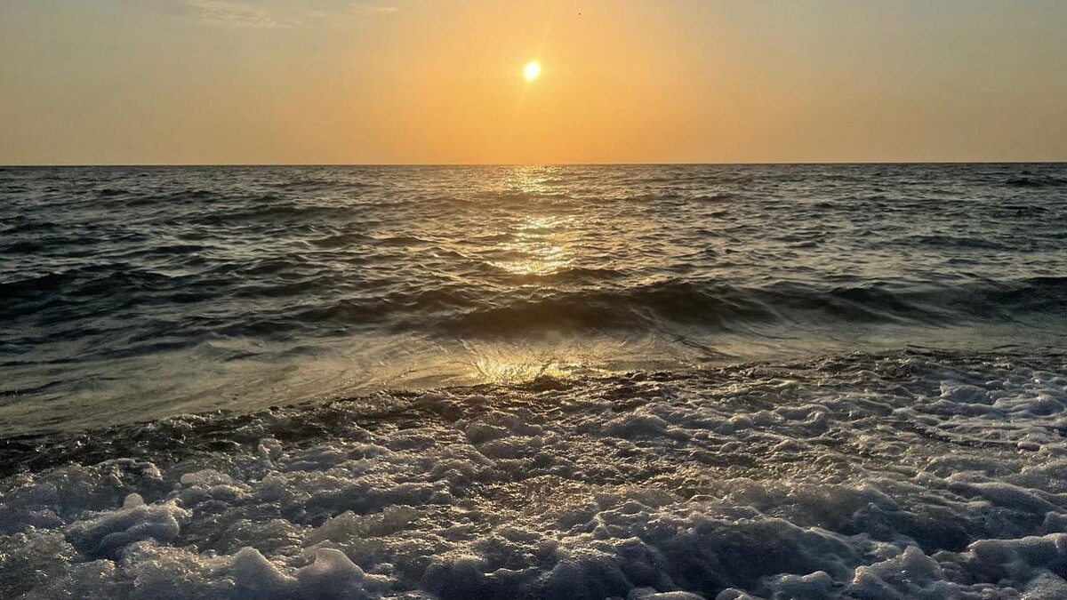    Фото: телеканал «Краснодар»