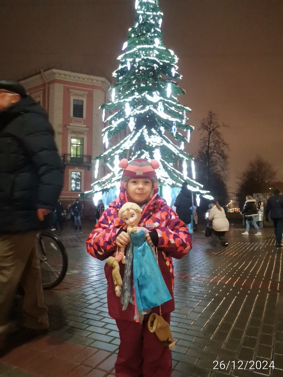 Елка рядом с БКЗ