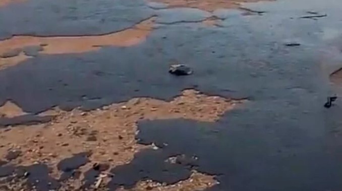    Фото из соцсетей