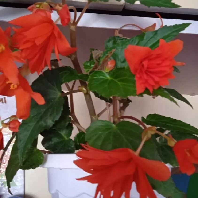     Автор: Нина Соловьева Источник: udm-info.ru