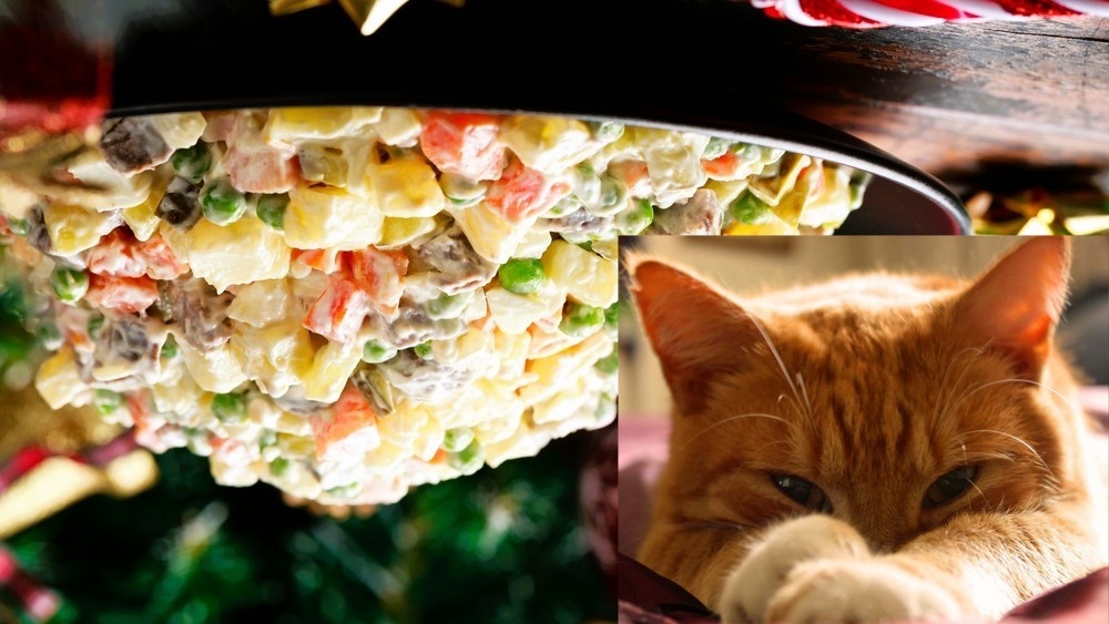 Как вам оливье наоборот? )))