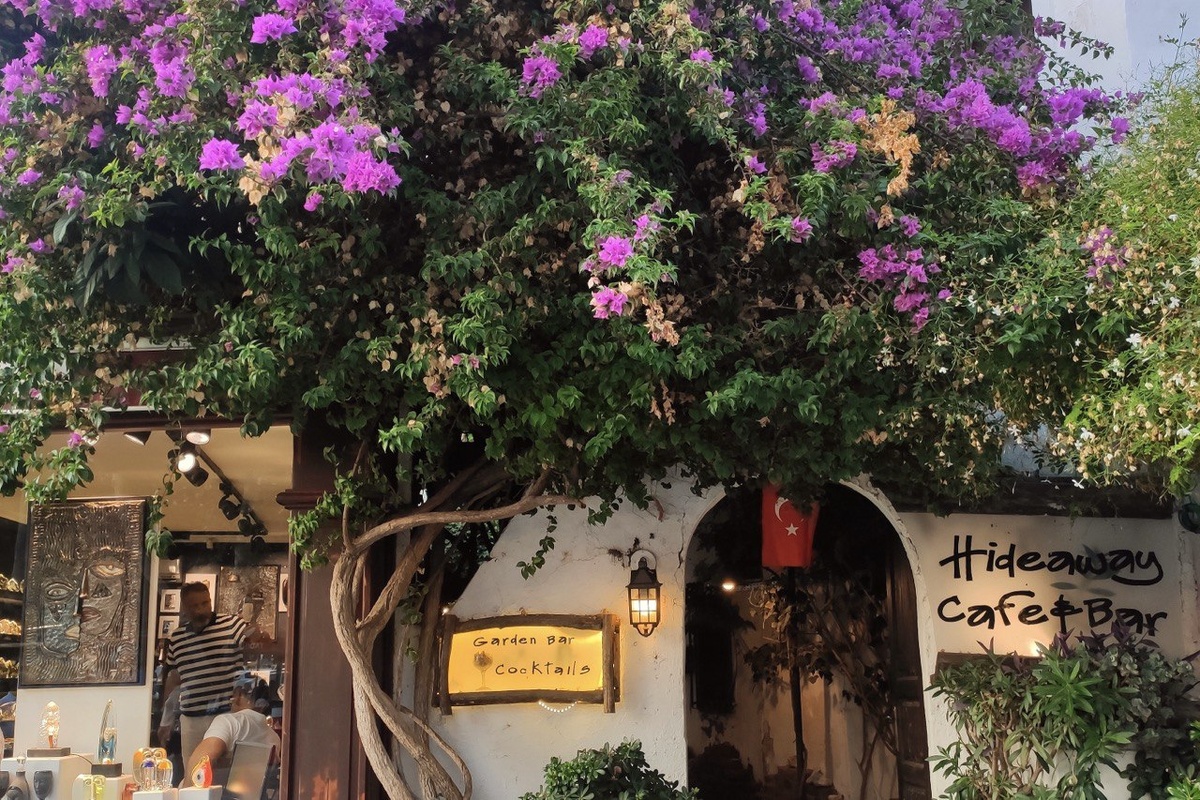 Вечерняя атмосфера Каша