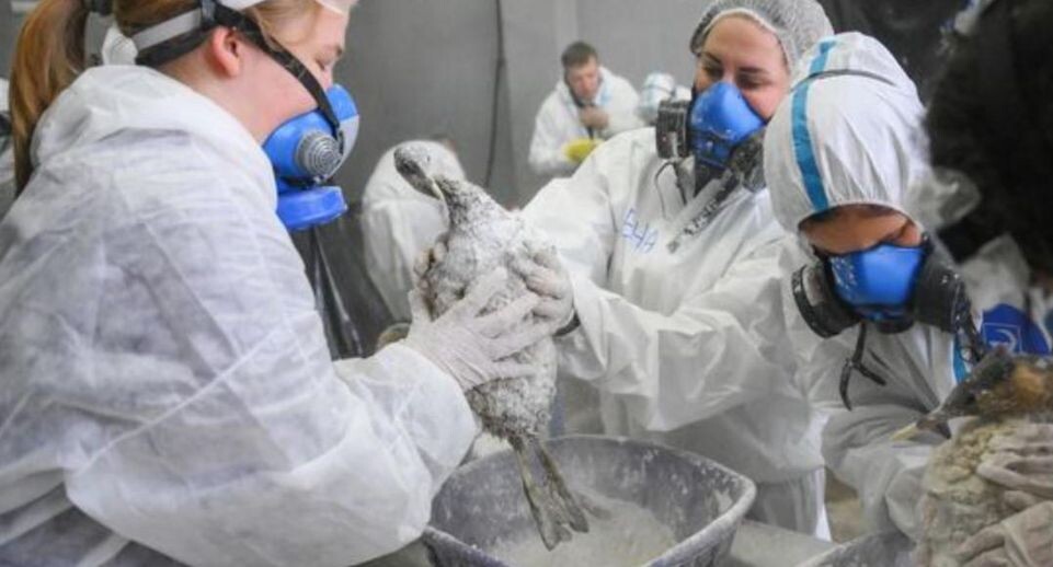    РИА «Новости»