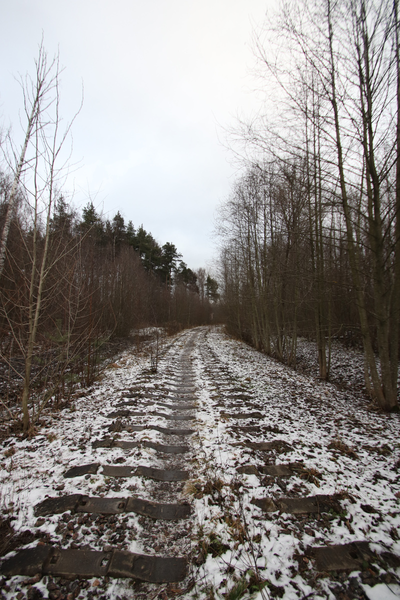 Подъездной путь к Ржевскому полигону. Фото автора