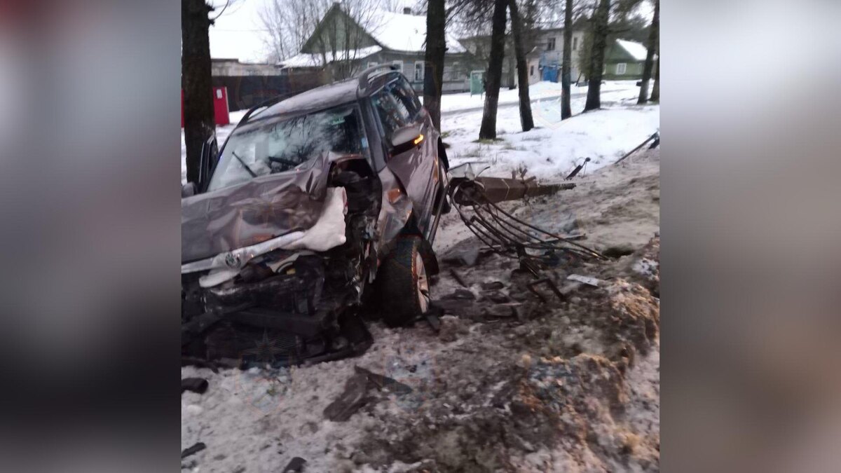    Фото: t.me/acclenobl