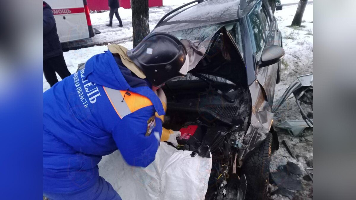    Фото: t.me/acclenobl