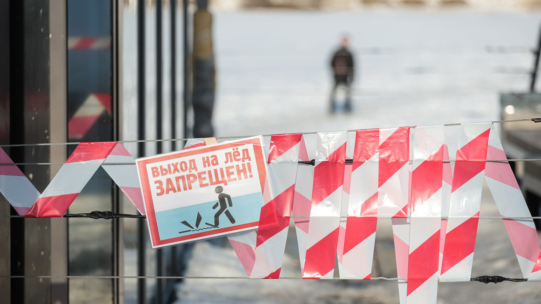    Фото: Andrey Titov/Business Online/Globallookpress