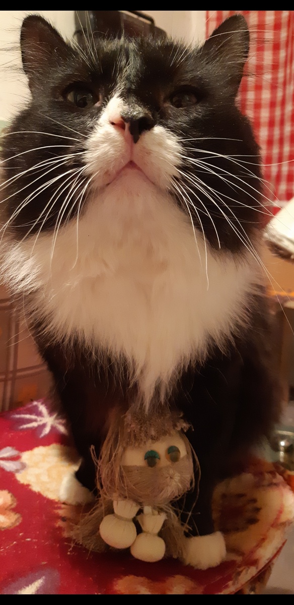 Йося с домовёнком.