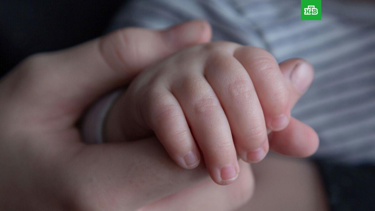    Фото: Diana Polekhina / unsplash.com