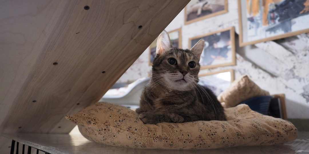 Кто живет в Зимнем дворце?