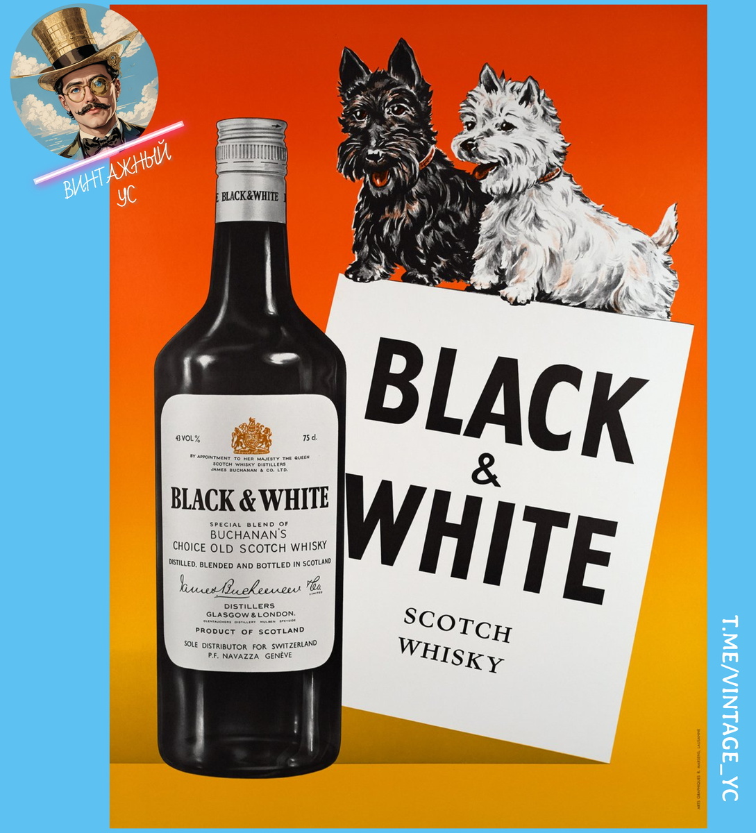Скотч Black & White