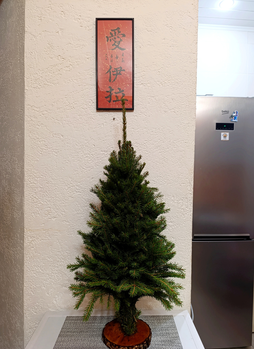 Всё  фото автора. 