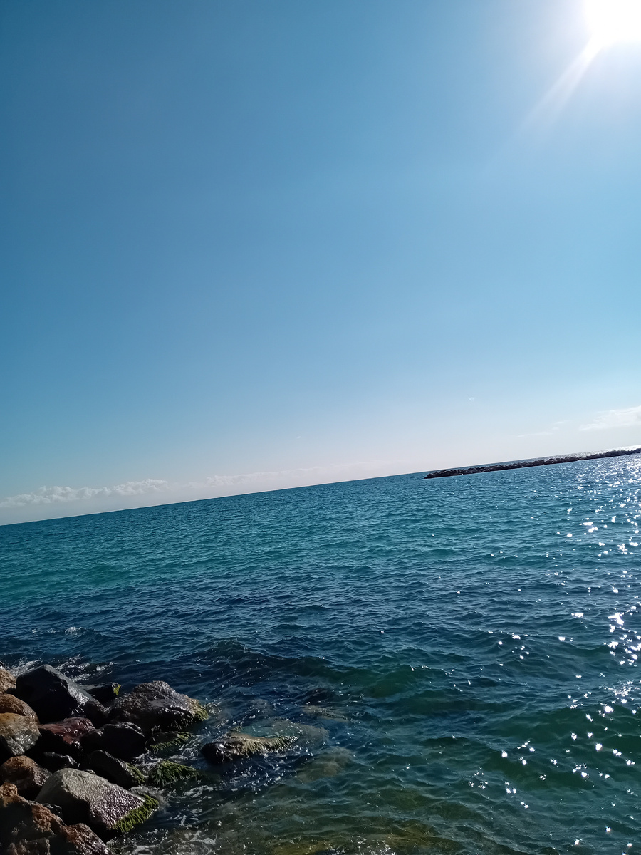 Авторские фото. (Личные фото).