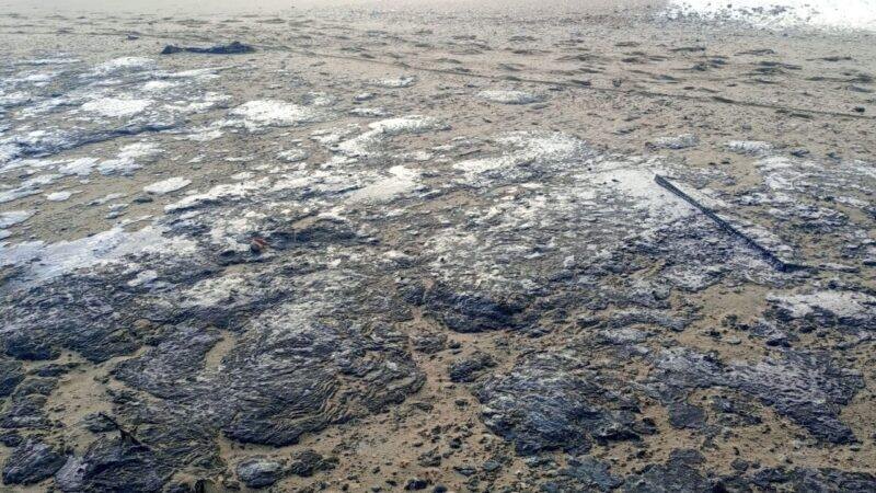 Разлив мазута на Черноморском побережье. Фото: wellnews.ru. Фотография взята из открытых источников.  📷
