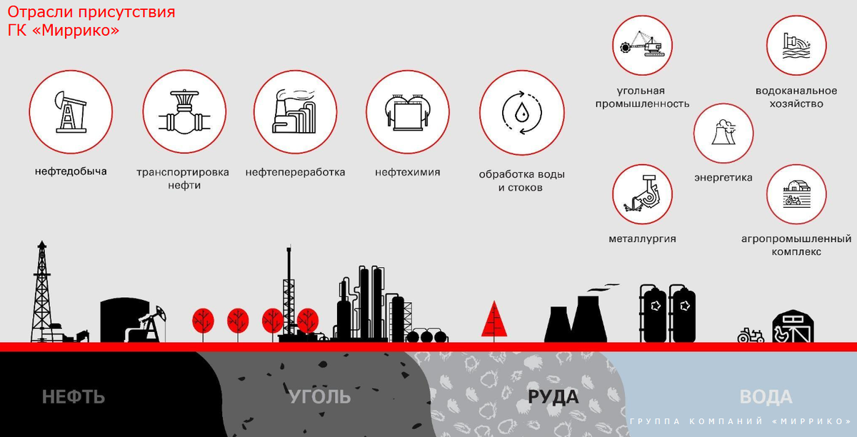 Отрасли присутствия ООО "Миррико". Источник: презентация компании