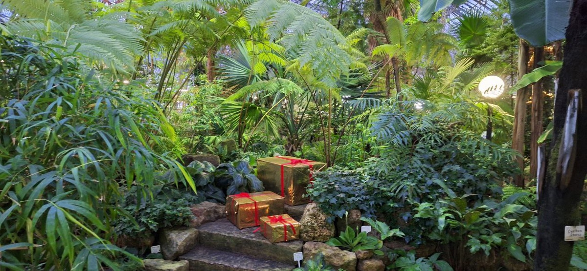 Это не работа ИИ, а обычное фото из предновогодней оранжереи. Сделано мной 22.12.24