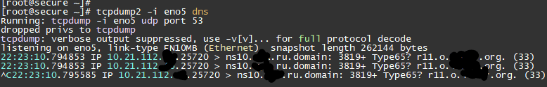 Результат выполнения команды tcpdump -i eno5 dns