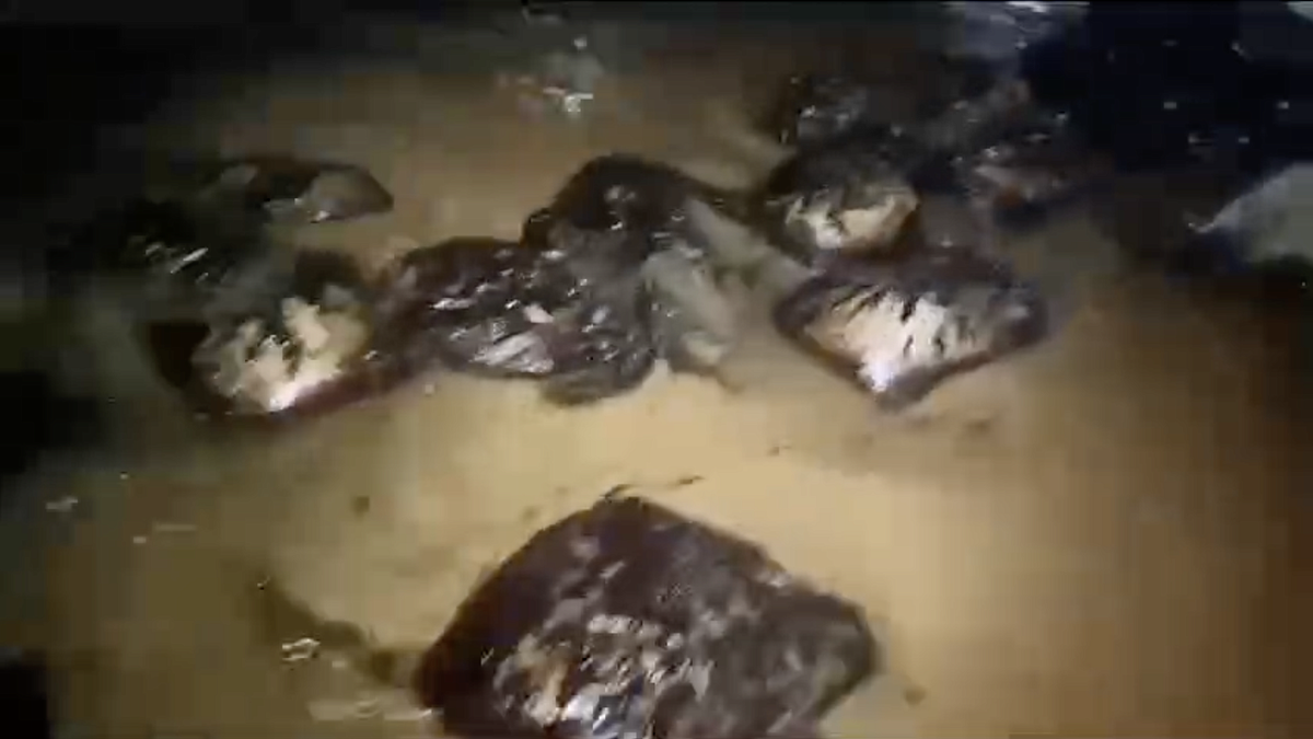    Фото: t.me/klimovnews