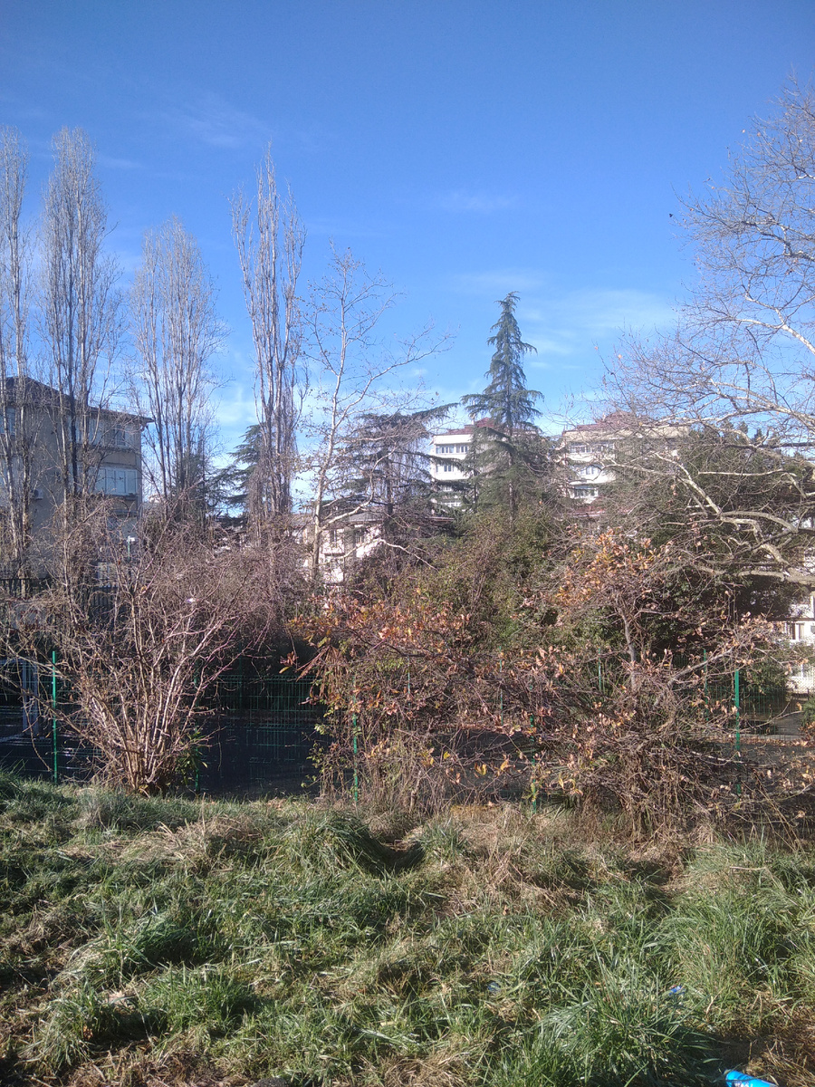 Один из теплых декабрьских дней. 