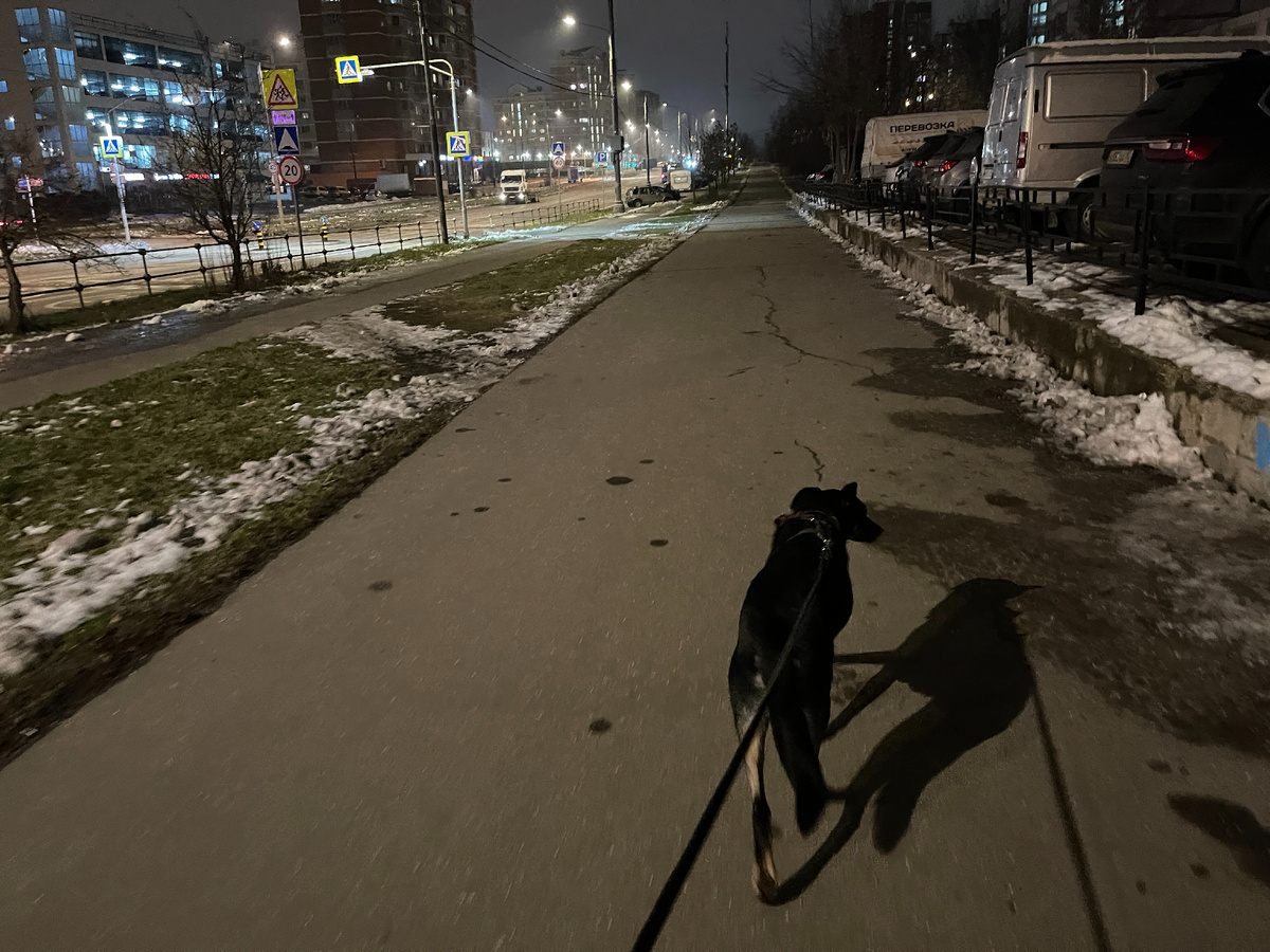 А мне все равно, а мне все равно, пусть боюсь я звуки от автобусов и машин. Дело есть у меня - в этот жуткий час город изучить, в котором теперь живу!