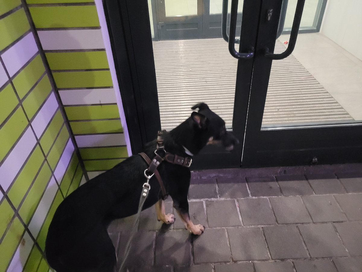 Не пойду гулять. Мне страшно! Либо все вместе, либо домой! Миша, зови маму! Пусть идет с нами! Мне так, действительно, будет спокойнее.