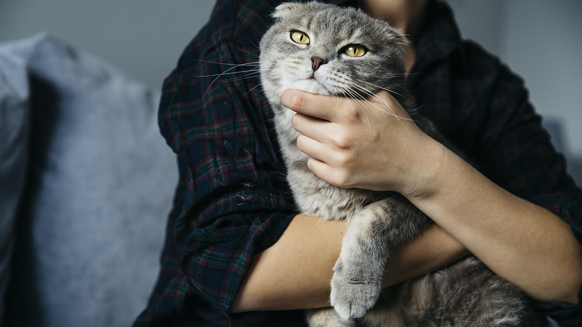 Фото: freepik.com