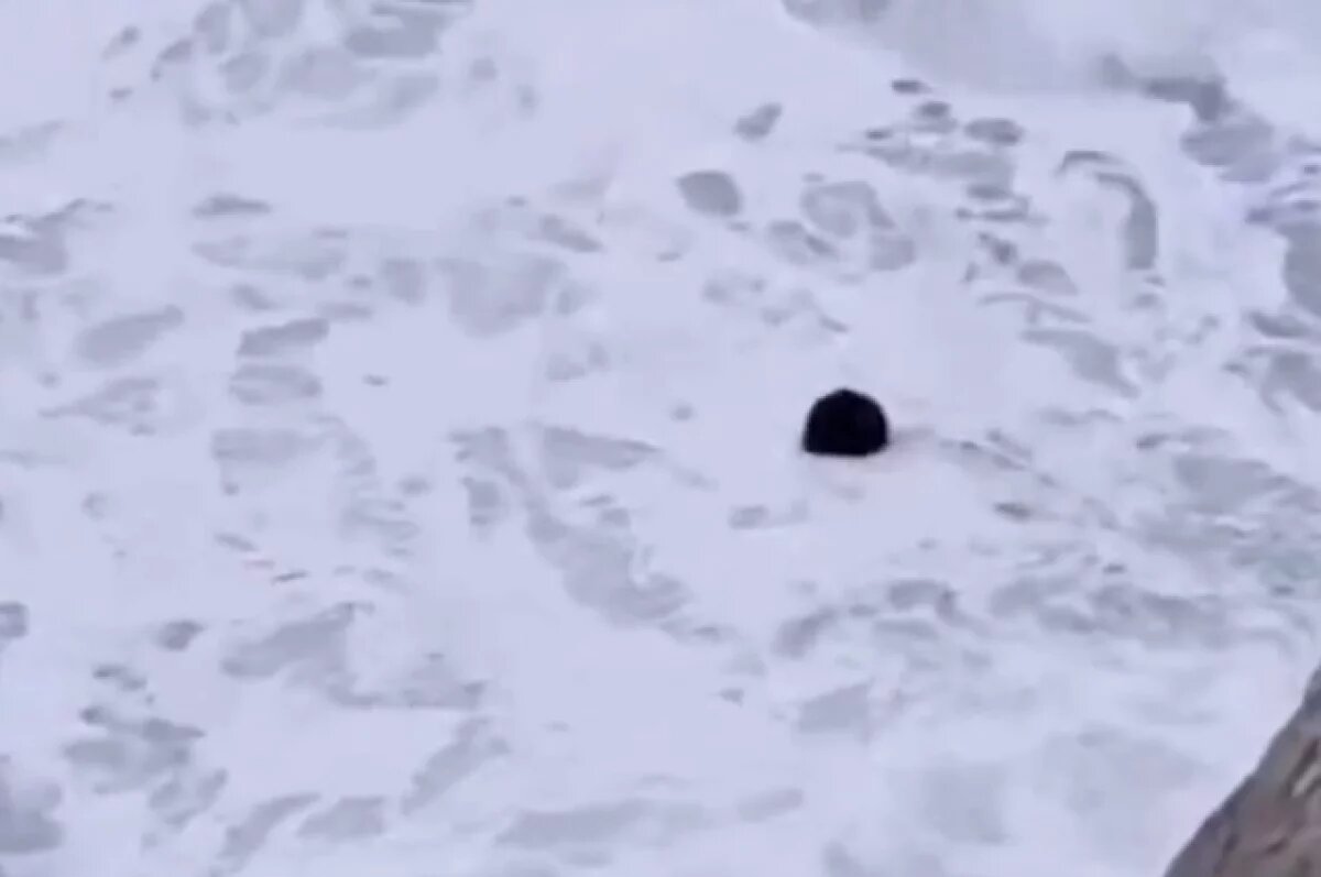    Anadolu: в Чёрном море у берегов Стамбула обнаружили мину