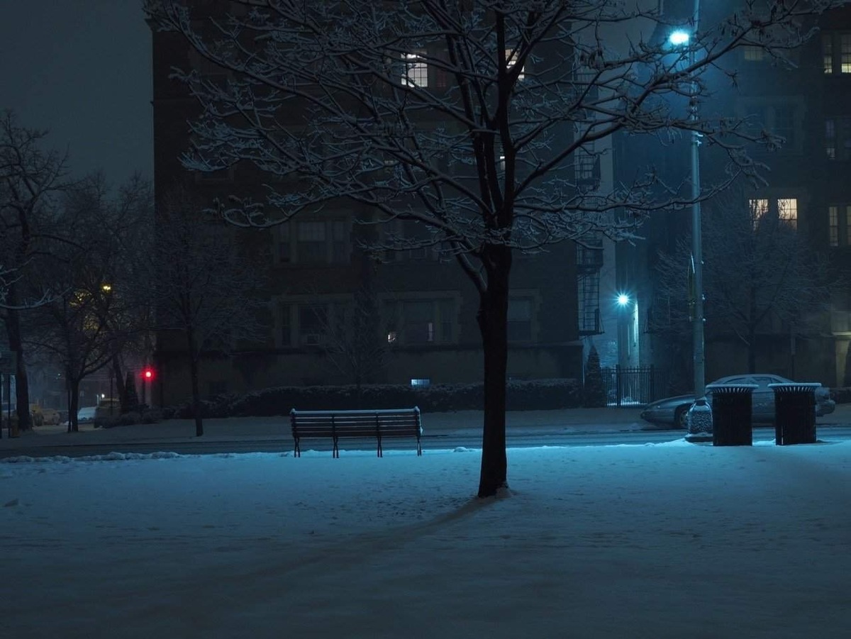 Яндекс Картинки