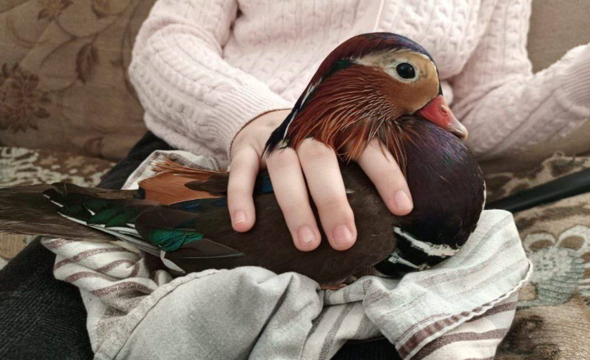    Источник фото: Vl.ru